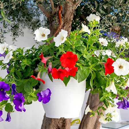 Villa Del Capo Suites Rhodes City 外观 照片