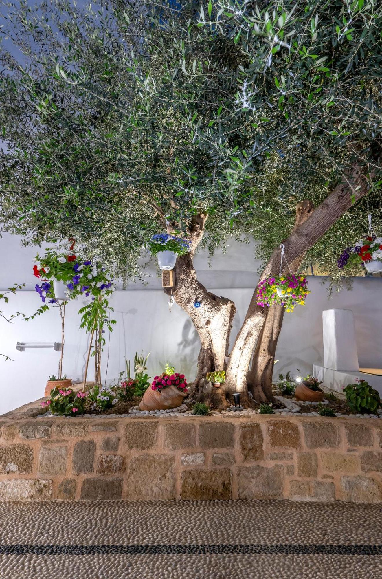 Villa Del Capo Suites Rhodes City 外观 照片