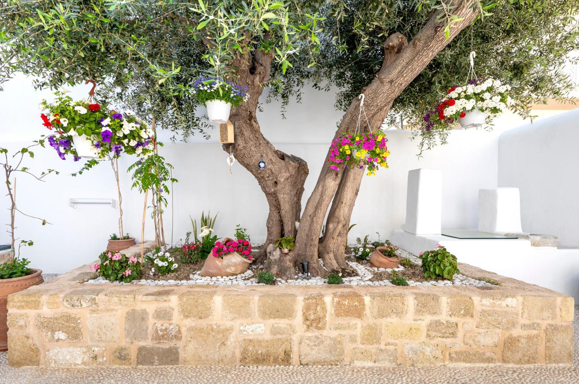 Villa Del Capo Suites Rhodes City 外观 照片